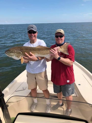 Fishing NOLA On Light Tackle In Belle Chasse