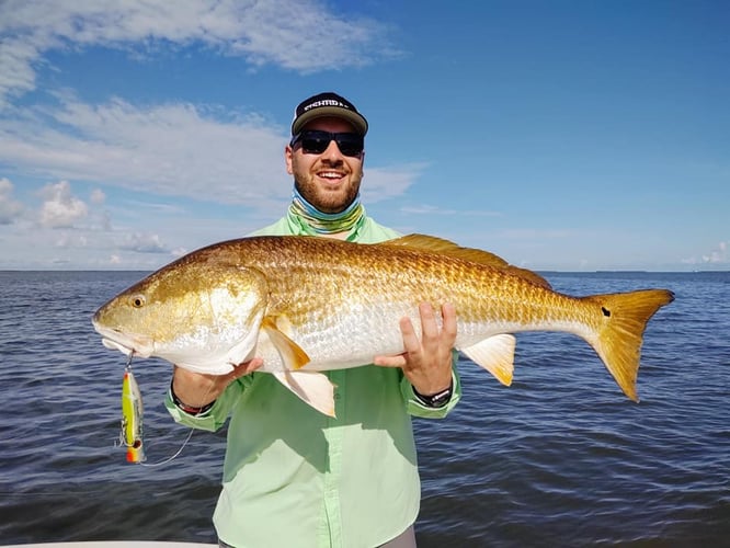 Fishing NOLA On Light Tackle In Belle Chasse