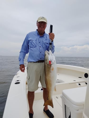 Fishing Venice On Light Tackle In Belle Chasse