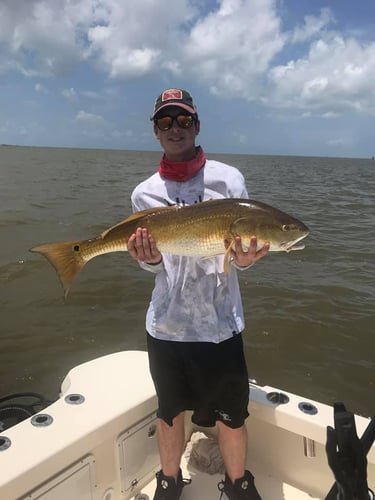 Fishing Venice On Light Tackle In Belle Chasse