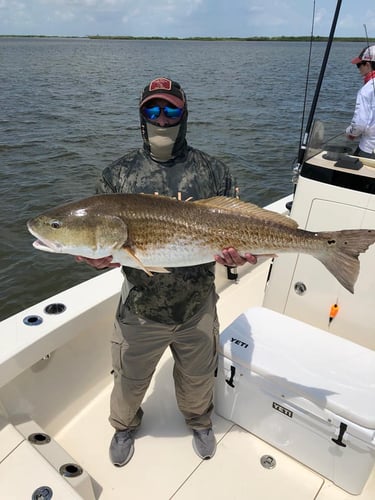 Fishing Venice On Light Tackle In Belle Chasse