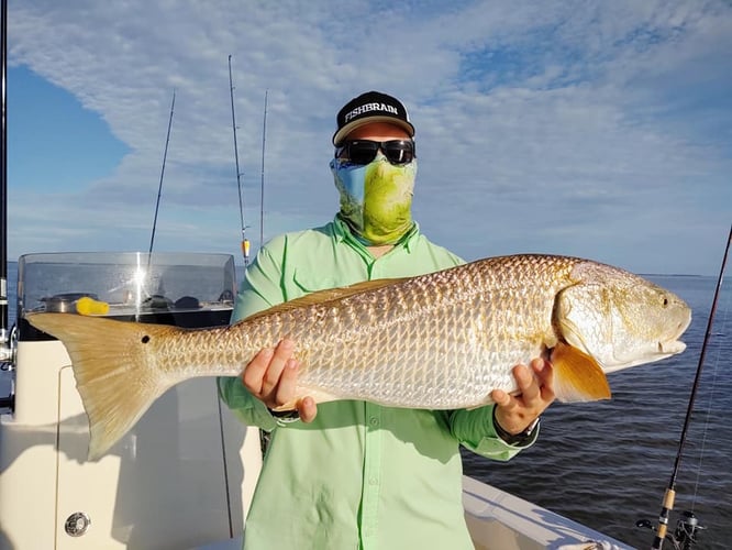 Fishing Venice On Light Tackle In Belle Chasse