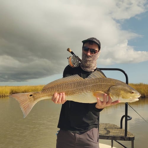 Fishing Venice On Light Tackle In Belle Chasse