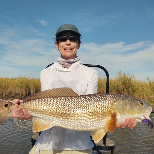 Fishing NOLA On Light Tackle In Belle Chasse