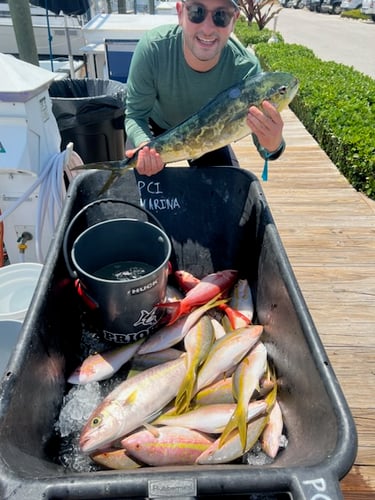 Islamorada Offshore Experience In Islamorada