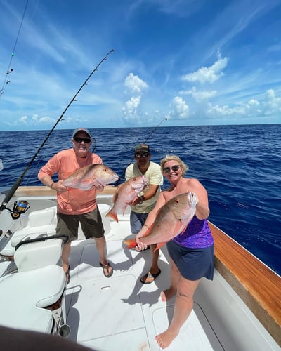 Islamorada Offshore Experience In Islamorada