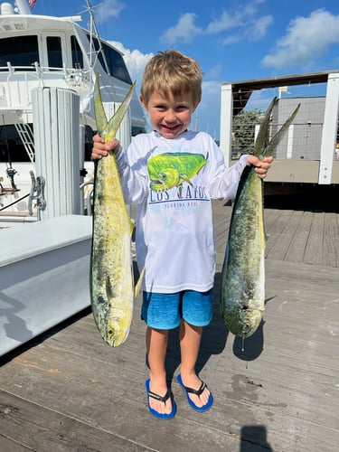 Islamorada Offshore Experience In Islamorada