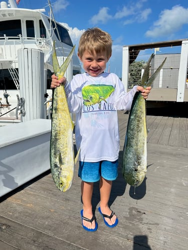 Islamorada Offshore Experience In Islamorada