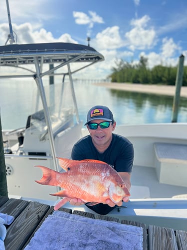 Islamorada Offshore Experience In Islamorada