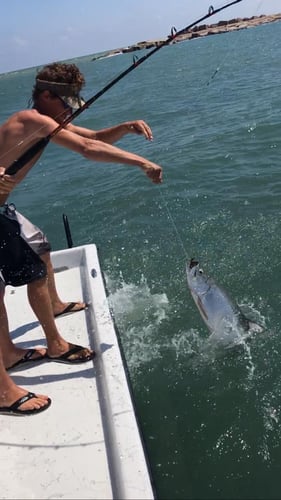 Lower Laguna Madre Adventure In Port Isabel