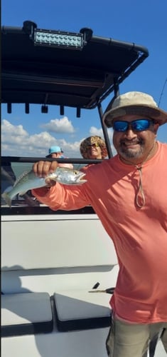 Lower Laguna Madre Adventure In Port Isabel