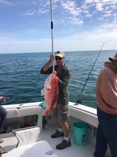 Lower Laguna Madre Adventure In Port Isabel