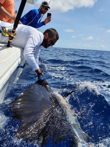 Paradise Island Fishing In Paradise Island