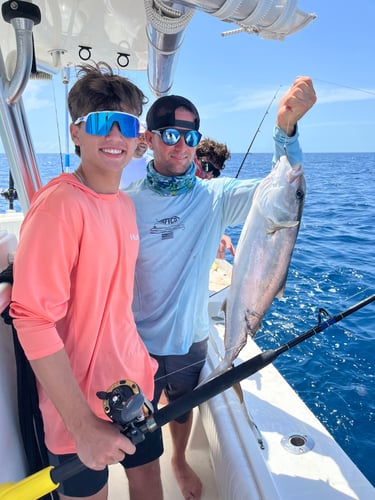 Offshore Wreck & Reef In Port Orange