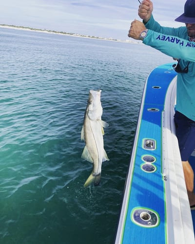 Offshore Wreck & Reef In Port Orange