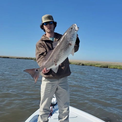 Live Action Louisiana Adventure In Saint Bernard