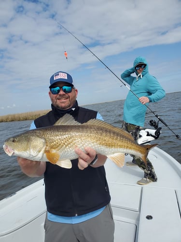 Live Action Louisiana Adventure In Saint Bernard