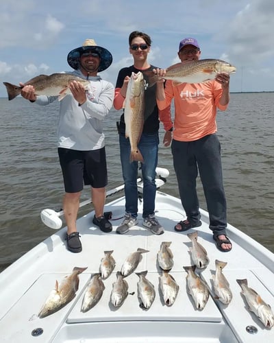 Live Action Louisiana Adventure In Saint Bernard