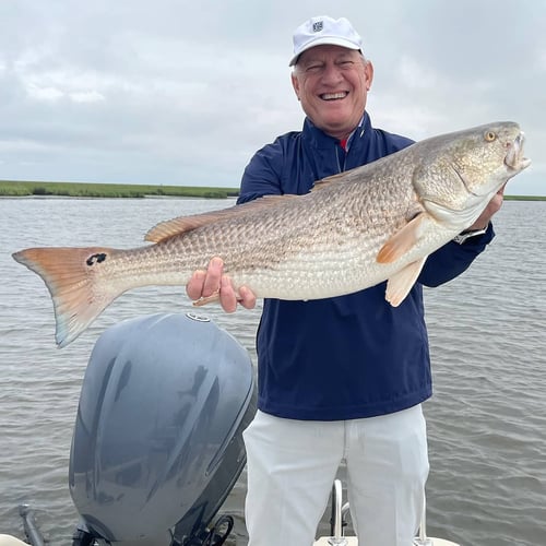 Live Action Louisiana Adventure In Saint Bernard