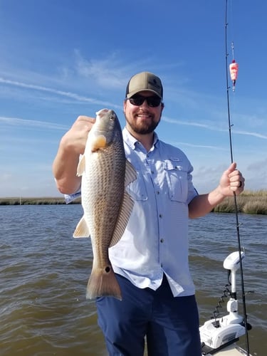 Live Action Louisiana Adventure In Saint Bernard