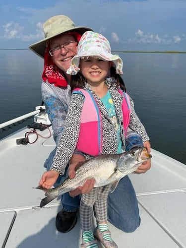 Live Action Louisiana Adventure In Saint Bernard