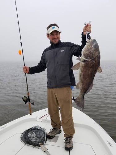 Live Action Louisiana Adventure In Saint Bernard