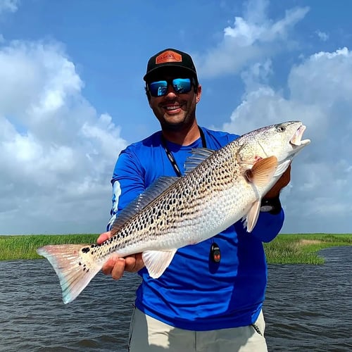 Live Action Louisiana Adventure In Saint Bernard