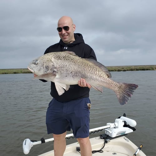 Live Action Louisiana Adventure In Saint Bernard