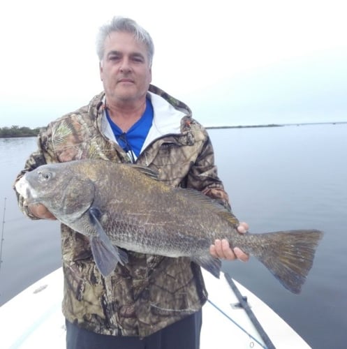 Indian River Fishing Frenzy in Oak Hill