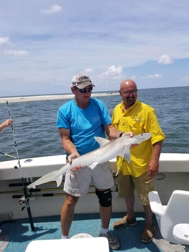 Biloxi 8-Hour Classic in Biloxi