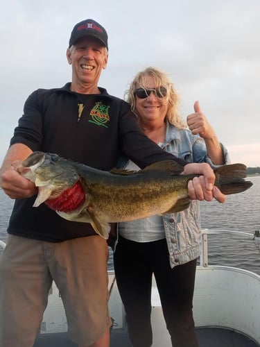 Lake Toho Largemouth Bass Run In Kissimmee