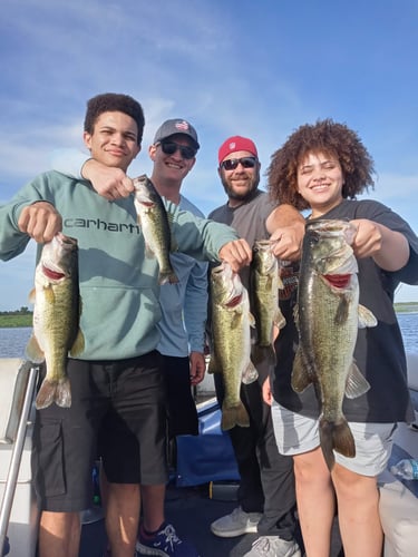 Lake Toho Largemouth Bass Run In Kissimmee