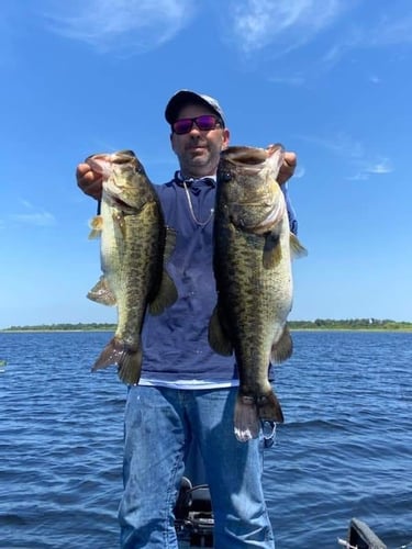 Lake Toho Largemouth Bass Run In Kissimmee