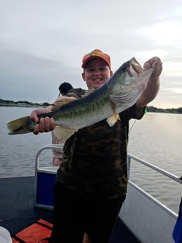 Lake Toho Largemouth Bass Run In Kissimmee