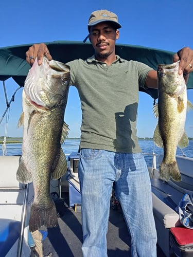 Lake Toho Largemouth Bass Run In Kissimmee