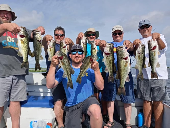 Lake Toho Largemouth Bass Run In Kissimmee