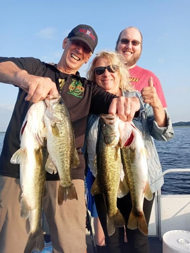 Lake Toho Largemouth Bass Run In Kissimmee