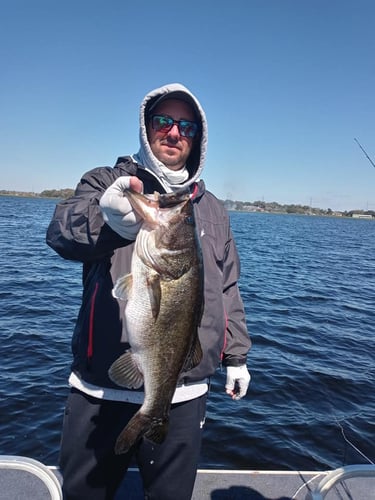 Lake Toho Largemouth Bass Run In Kissimmee