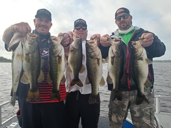 Lake Toho Largemouth Bass Run In Kissimmee