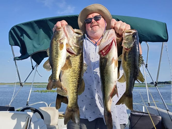 Lake Toho Largemouth Bass Run In Kissimmee