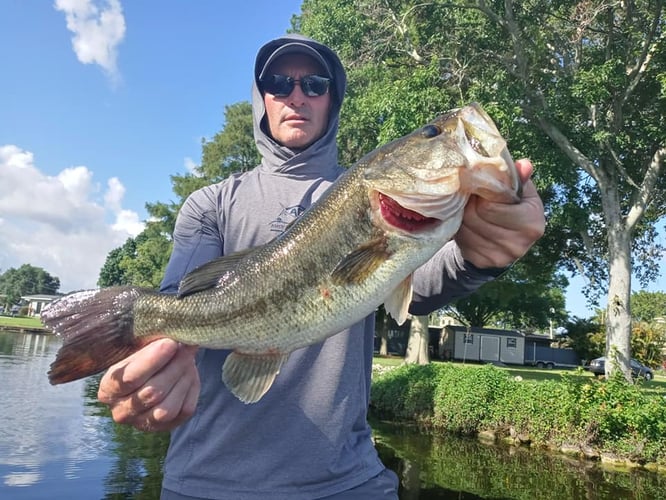 Lake Toho Largemouth Bass Run In Kissimmee