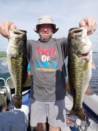 Lake Toho Largemouth Bass Run In Kissimmee