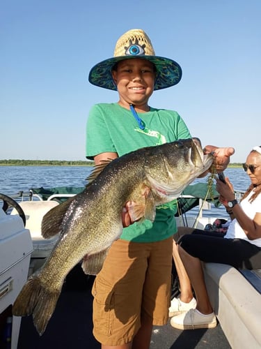 Lake Toho Largemouth Bass Run In Kissimmee