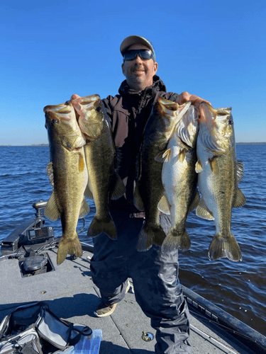 Lake Toho Largemouth Bass Run In Kissimmee