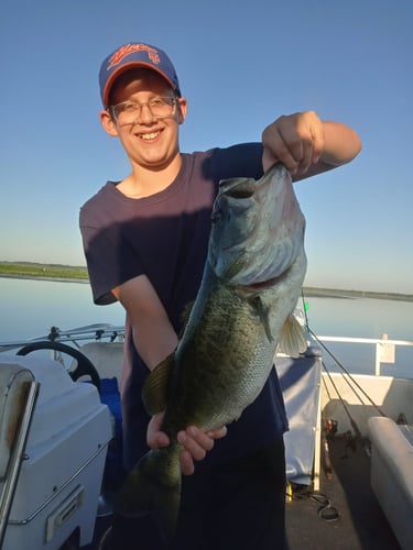 Lake Toho Largemouth Bass Run In Kissimmee