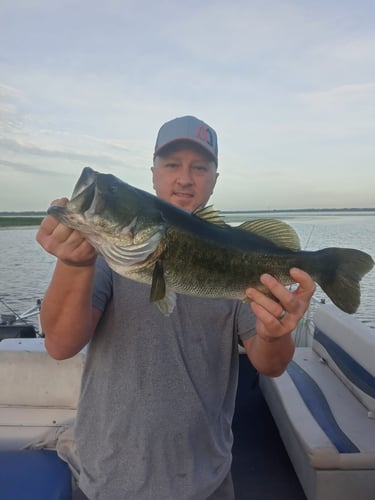 Lake Toho Largemouth Bass Run In Kissimmee