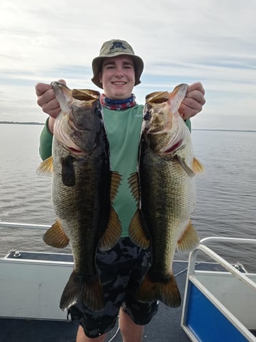 Lake Toho Largemouth Bass Run In Kissimmee