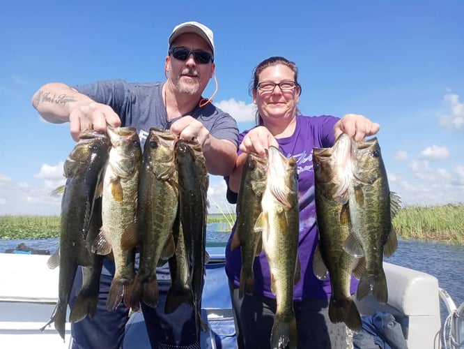 Lake Toho Largemouth Bass Run In Kissimmee