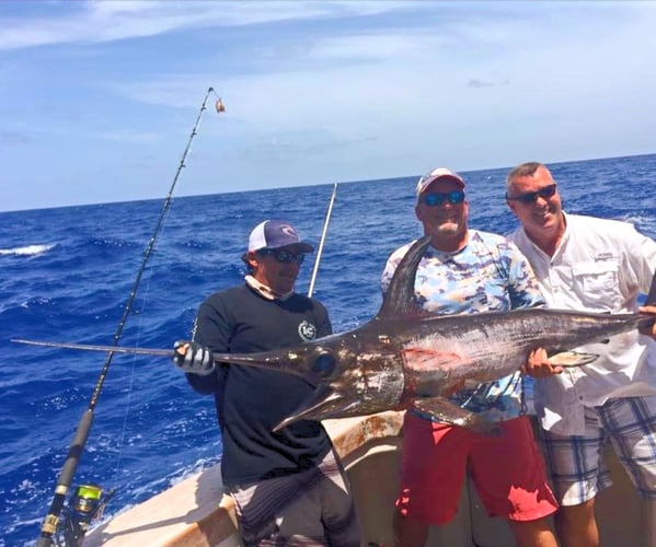 Islamorada Swordfish Big Game Hunt In Islamorada