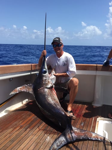 Islamorada Swordfish Big Game Hunt In Islamorada